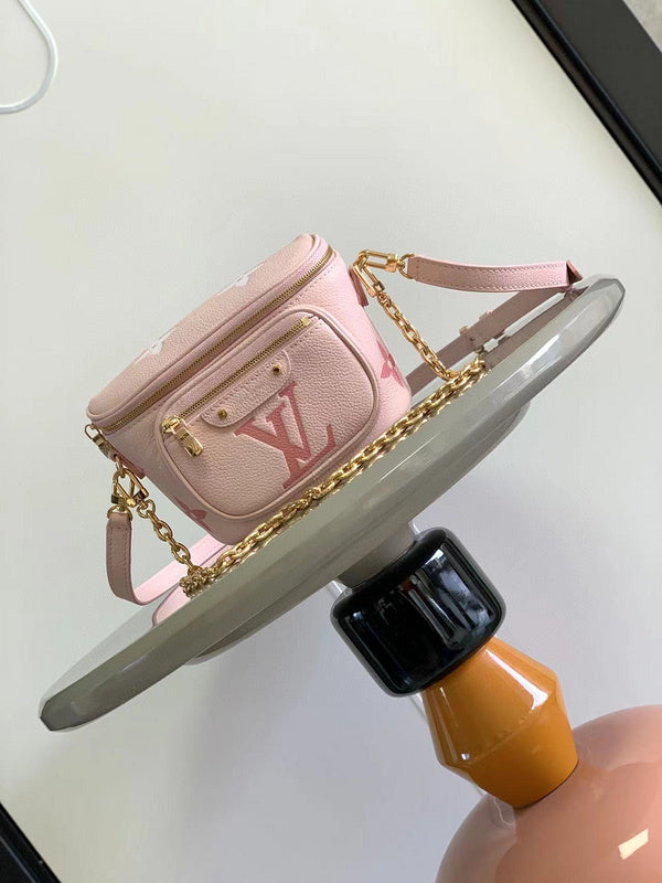 Louis Vuitton Bags