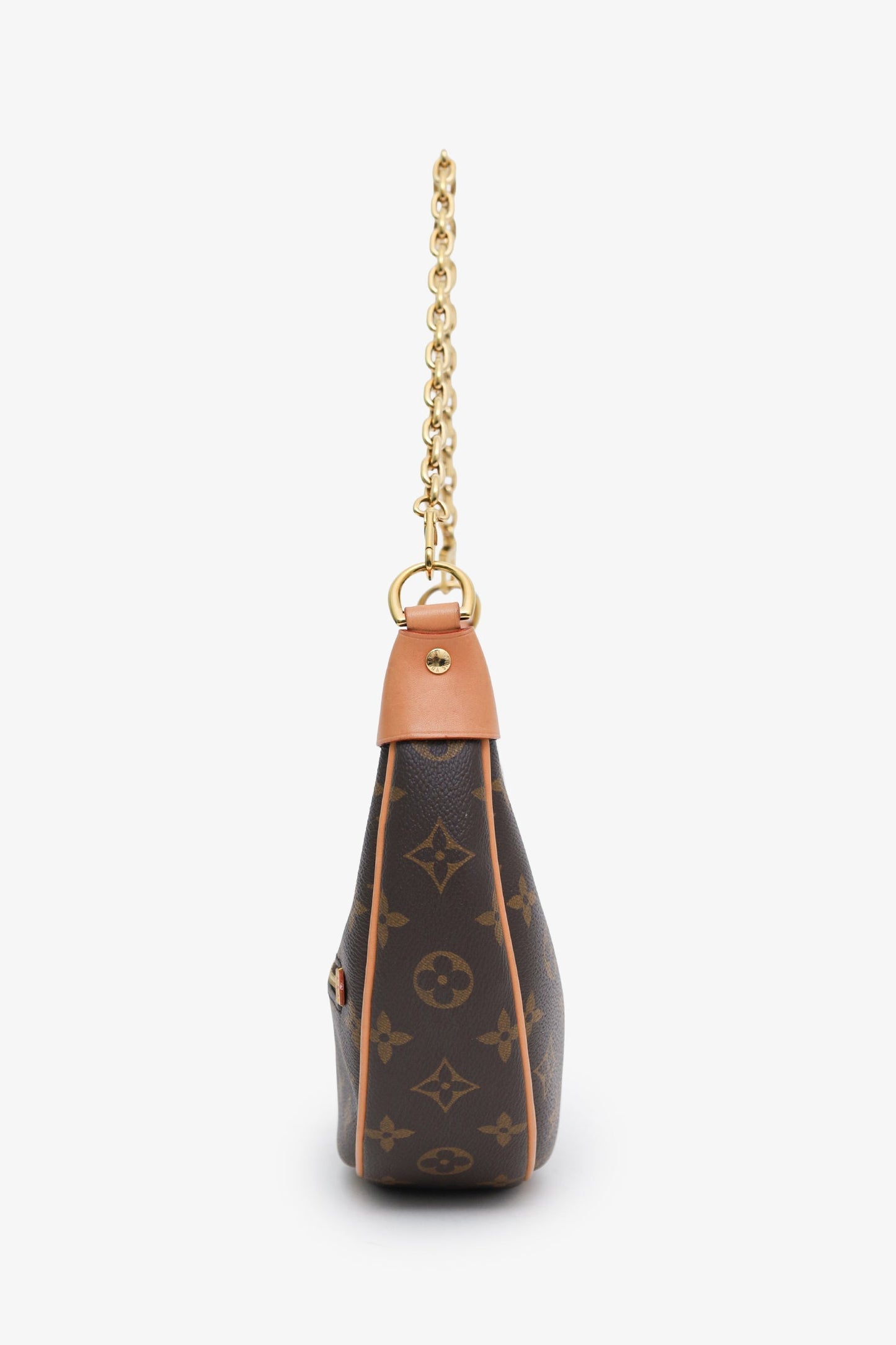 Louis Vuitton Monogram Loop Chain Shoulder Bag with Strap