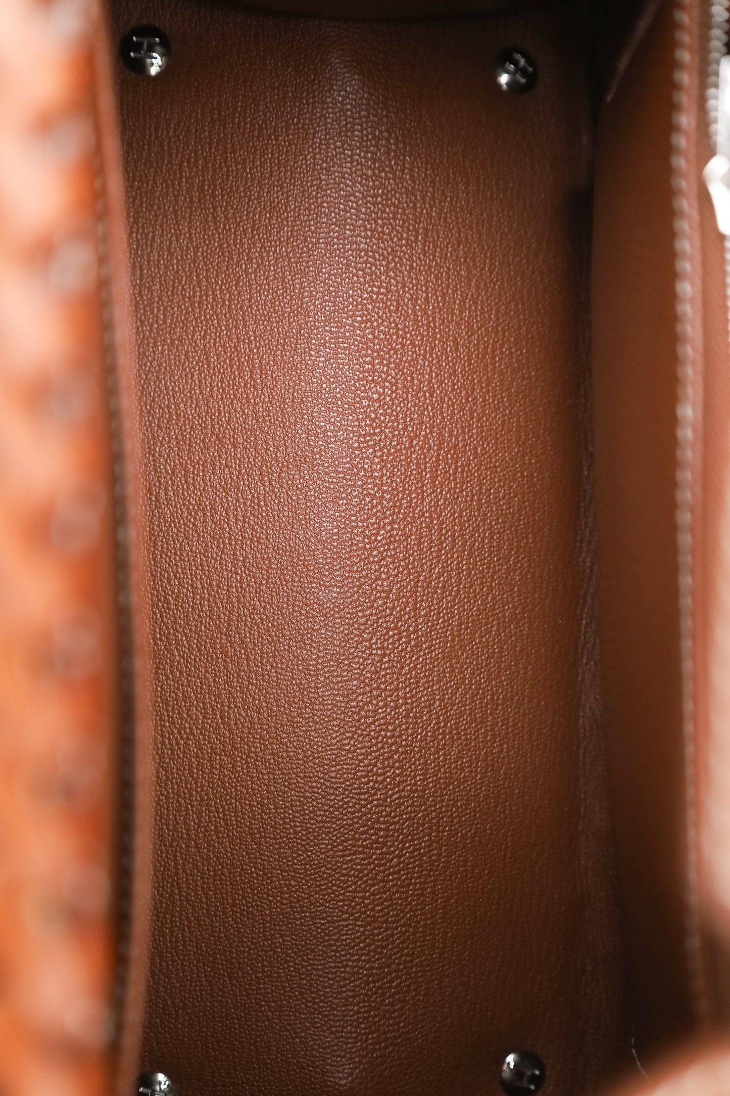 Hermès 2022 Naturel/Fauve Osier Veau Barenia Birkin Picnic 25