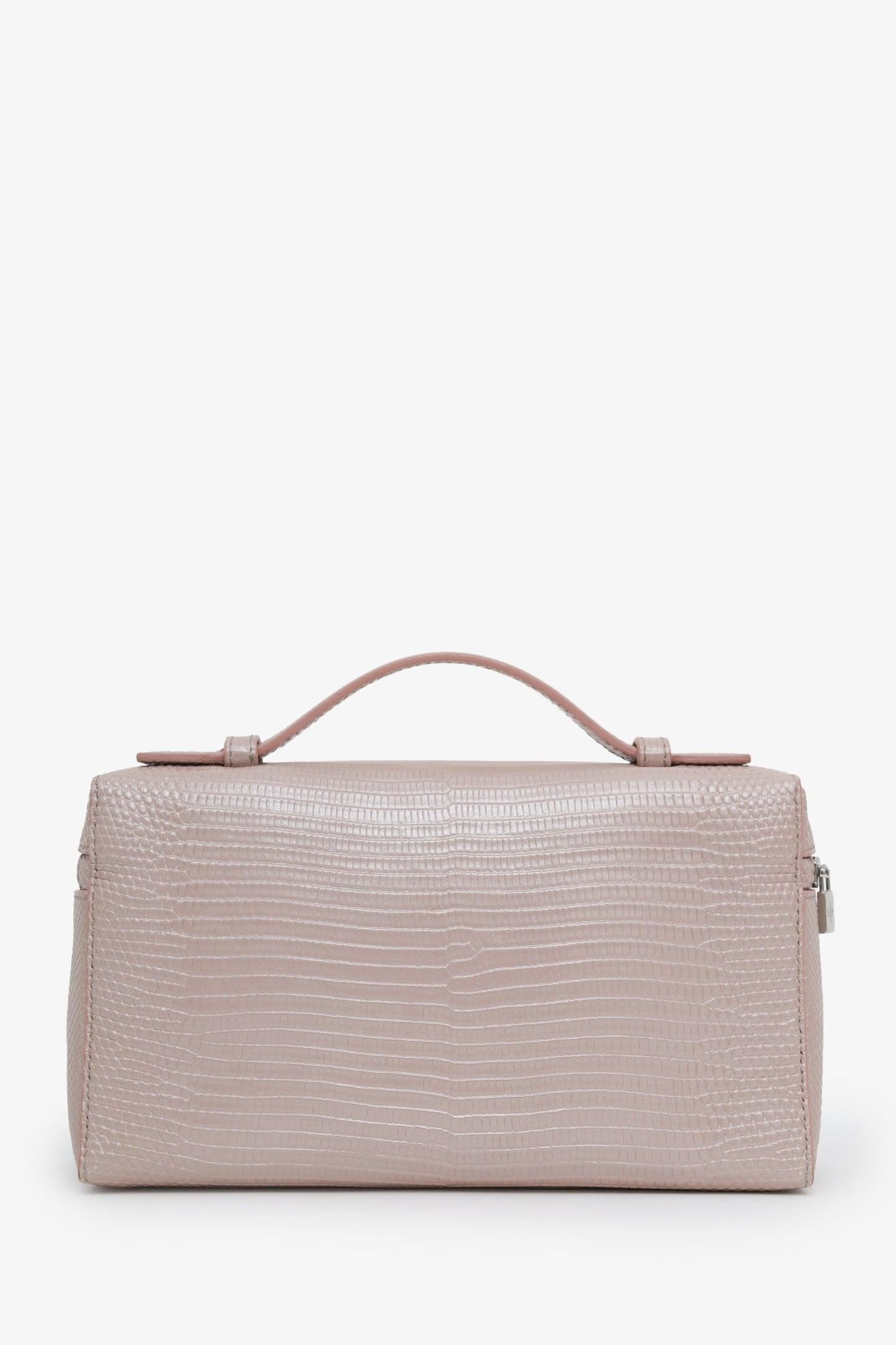 Loro Piana Beige Metallic Lizard Leather Extra Pocket L19 No Strap