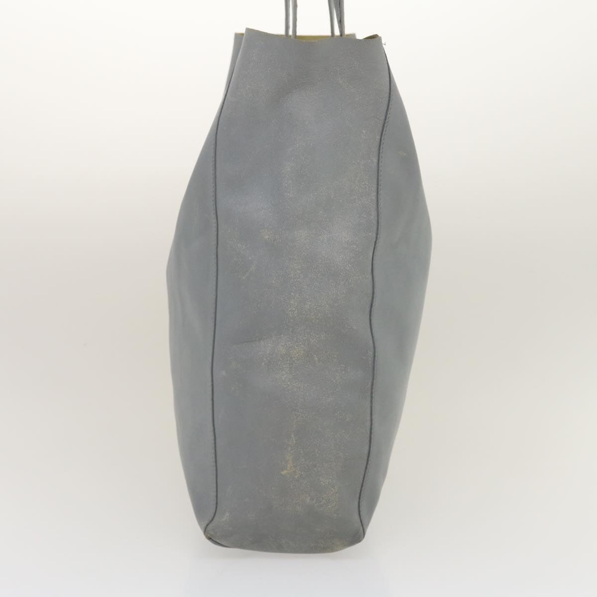 Luxury CELINE Tote Bag Leather Gray  am2387g