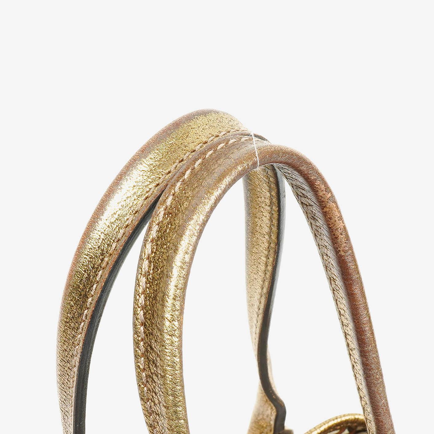 Gucci Monogram Princy Hobo Bag