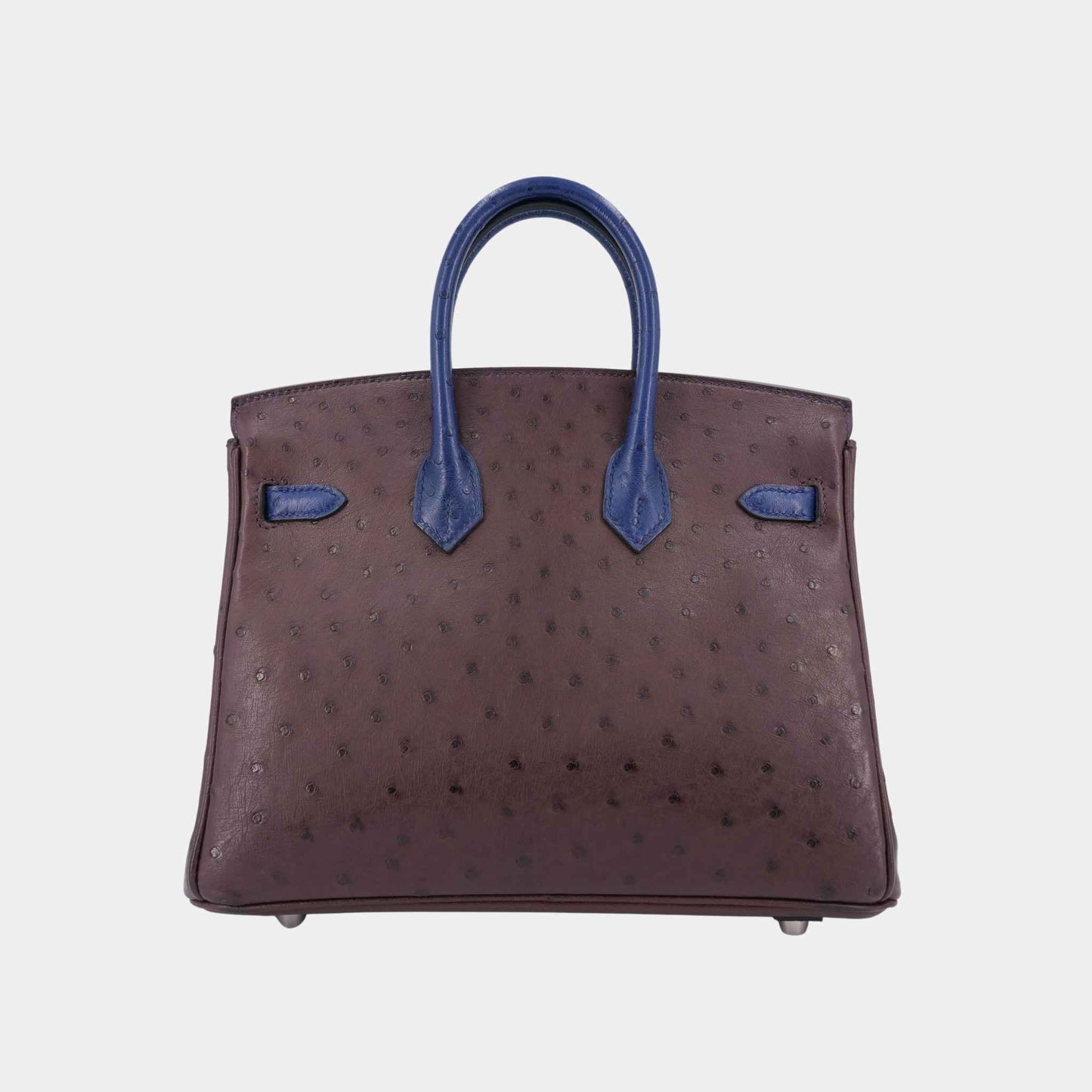 Birkin 25 Ostrich Rouge Sellier/ Bleu Iris PHW