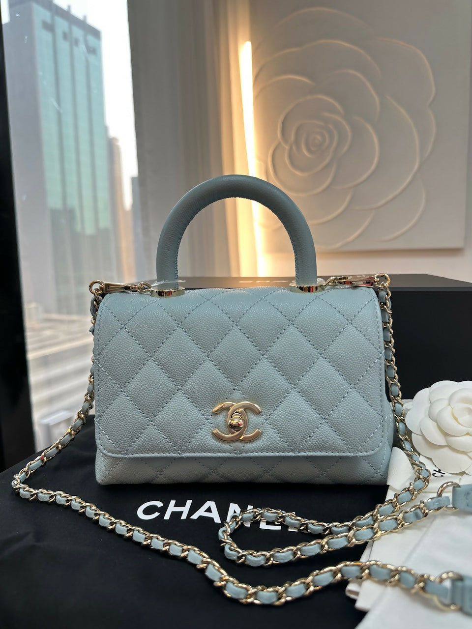 Chanel (22)Coco Handle Mini