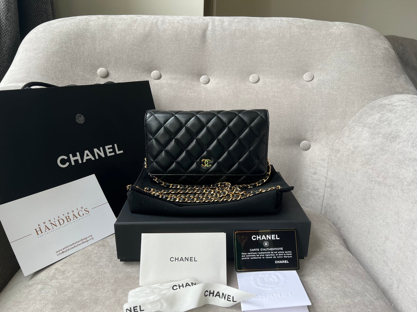 Chanel Wallet On Chain Crossbody Bag - Ewore Bags