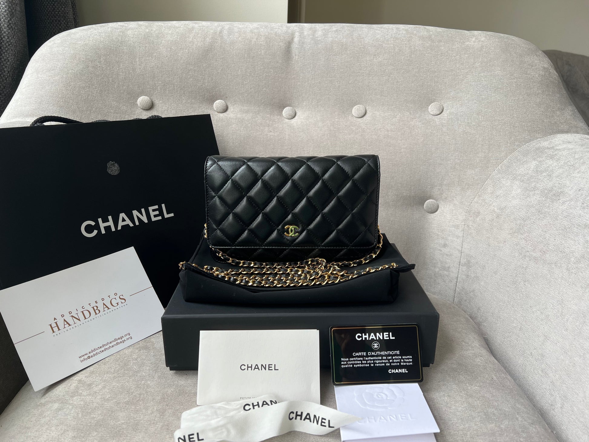 Chanel Wallet On Chain Crossbody Bag - Ewore Bags