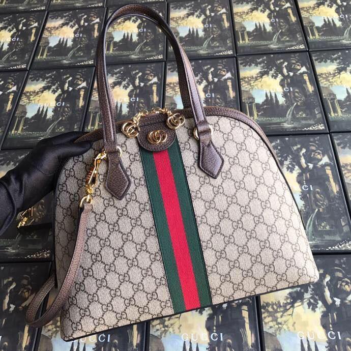 Gucci Ophidia Leather Chain Shoulder Bag Style 5