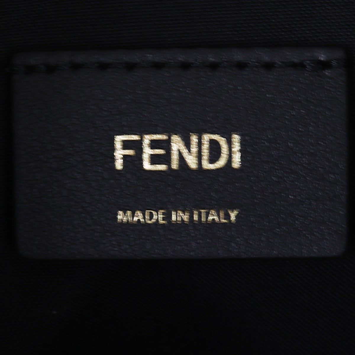 Fendi Fendigraphy Small