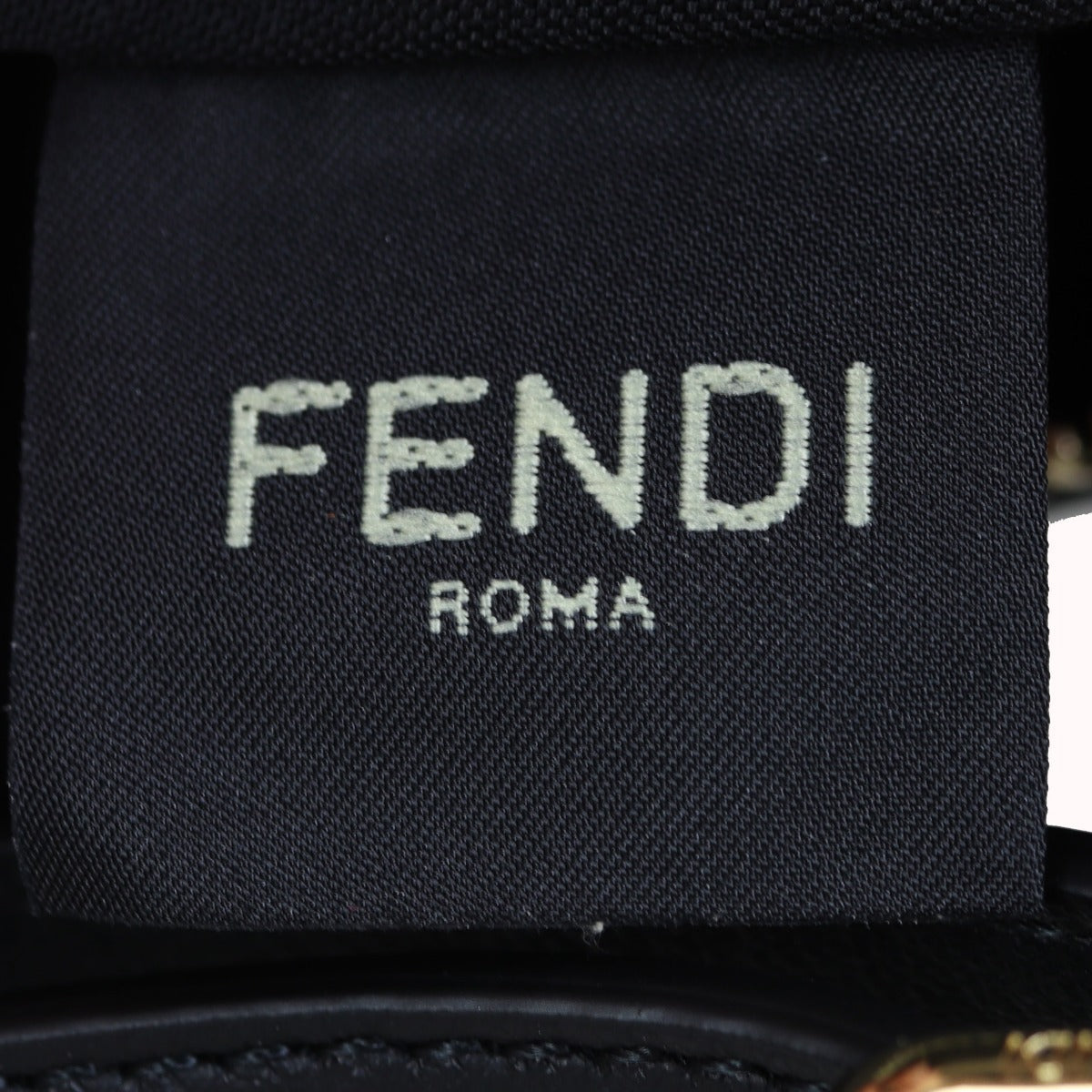 Fendi Fendigraphy Small