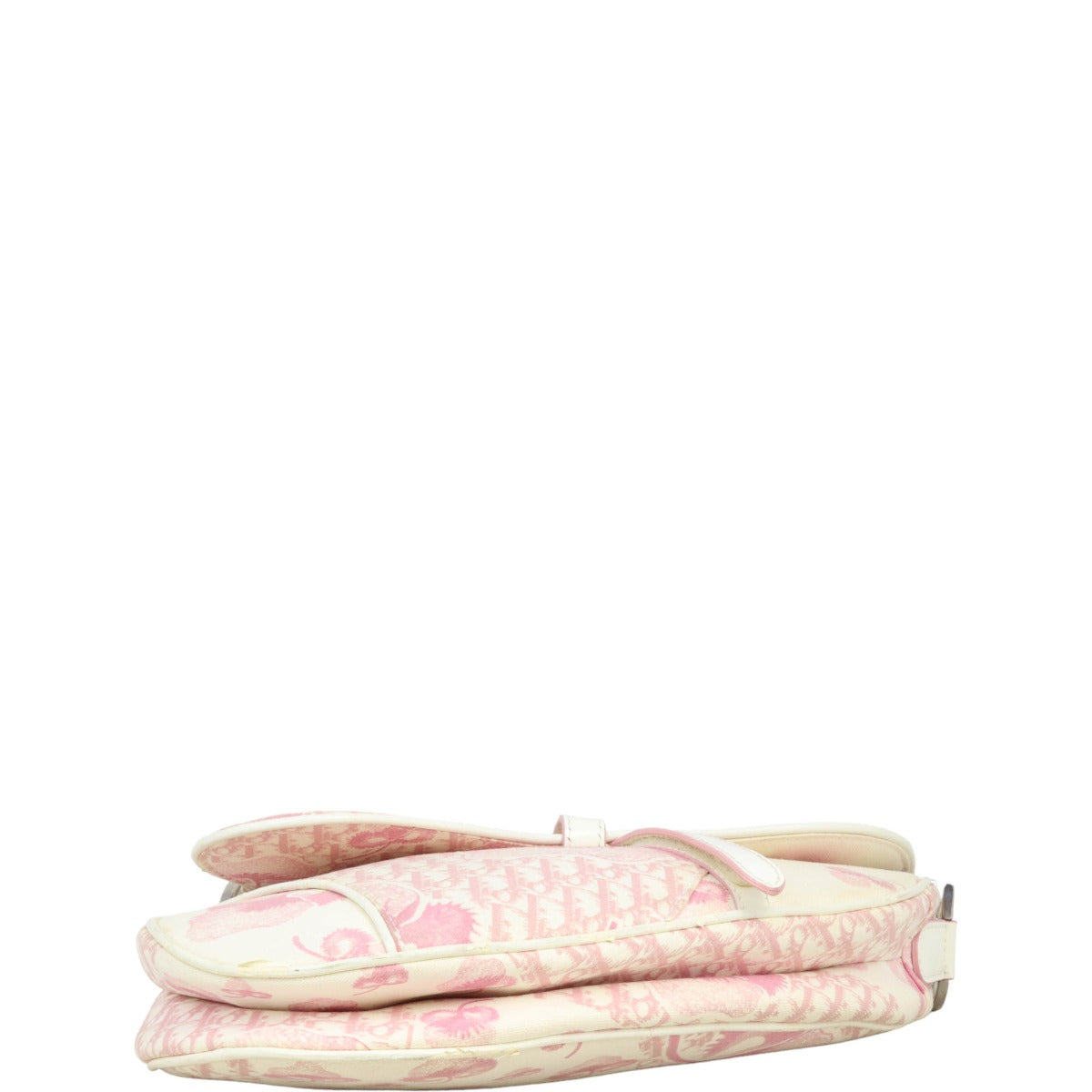 Dior   Saddle Bag