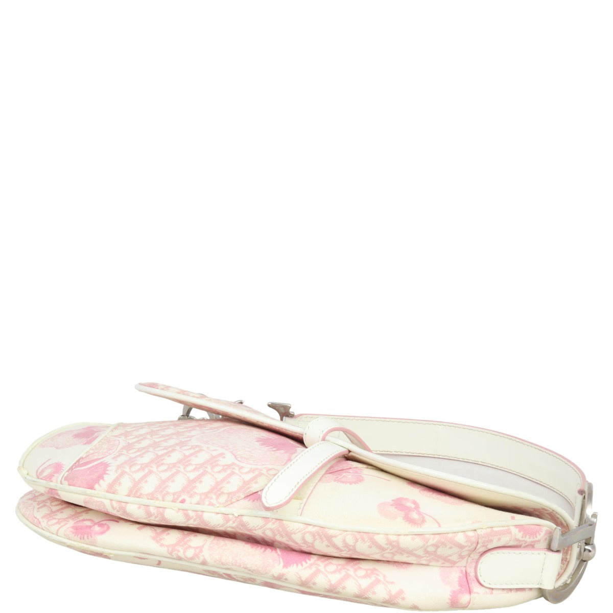 Dior   Saddle Bag