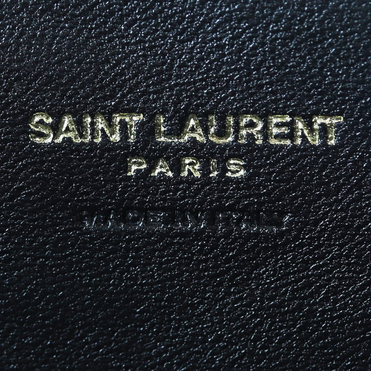 Saint Laurent Lou Mini Camera Bag