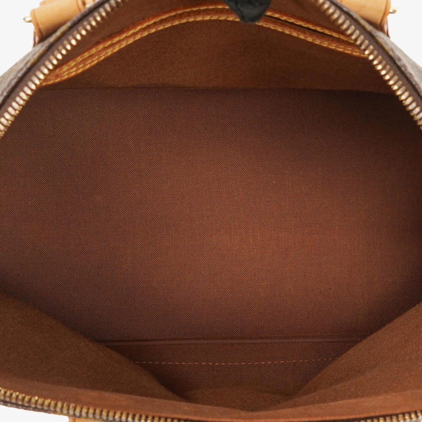 Louis Vuitton Alma PM Monogram Canvas Handbag