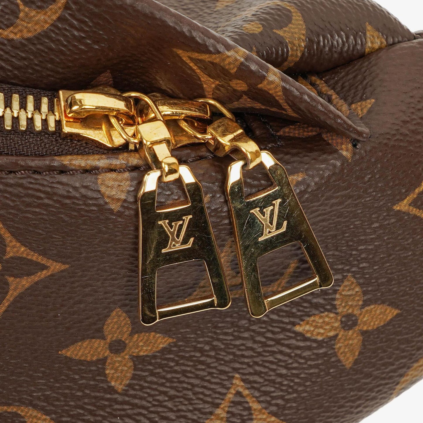Louis Vuitton Bumbag Monogram Canvas Belt Bag