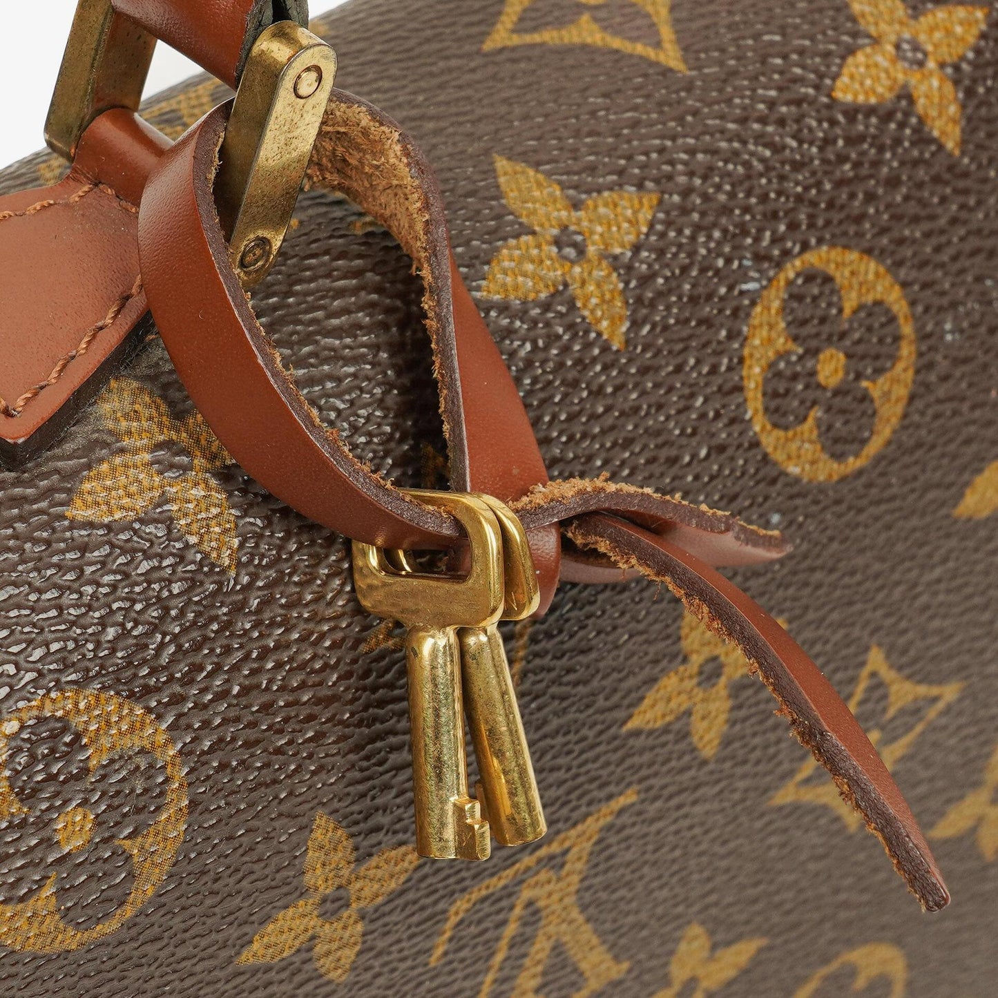 Louis Vuitton Concorde Monogram Canvas Bag