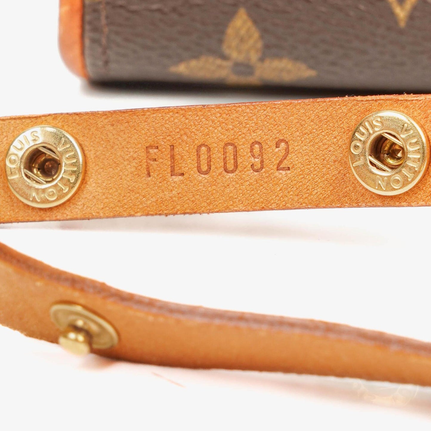 Louis Vuitton Florentine XS Monogram Pochette