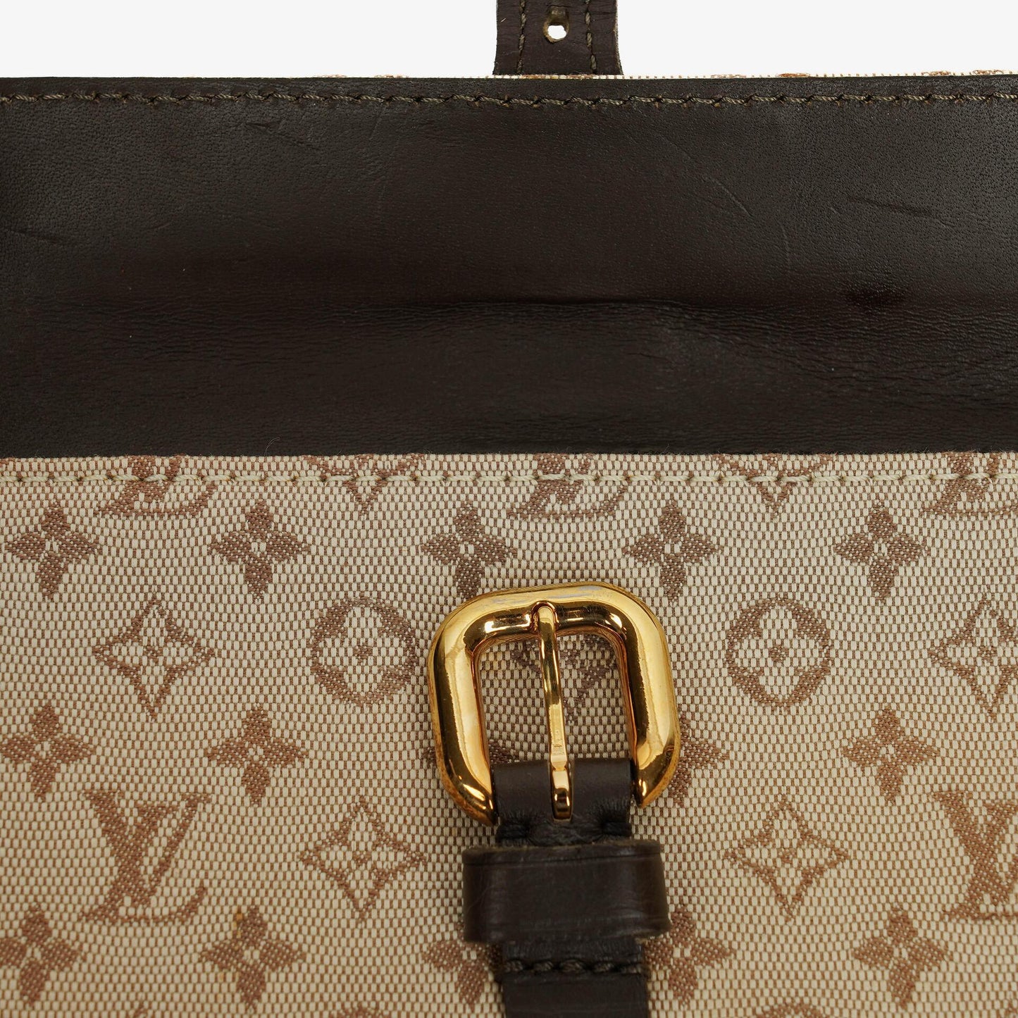 Louis Vuitton Juliette Crossbody Bag in Monogram Mini Lin