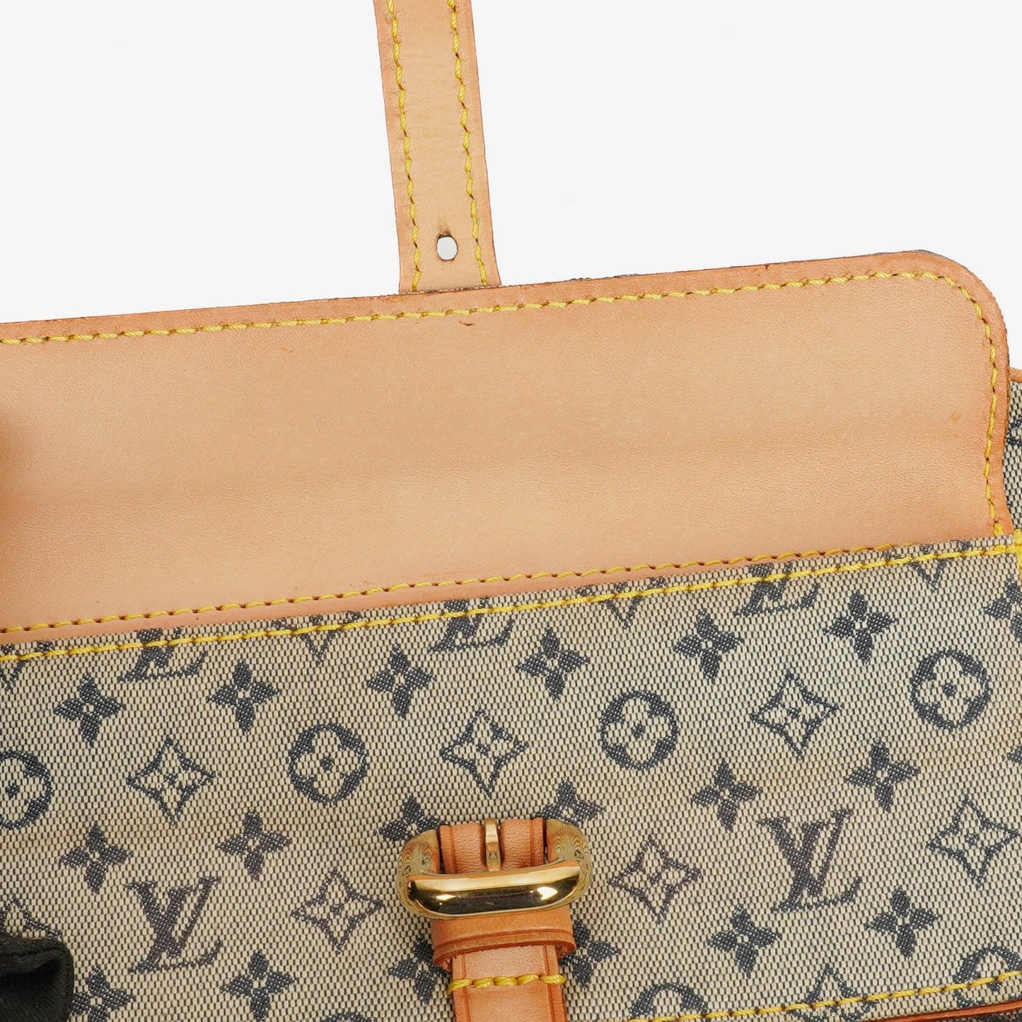 Louis Vuitton Juliette Crossbody Bag in Monogram Mini Lin