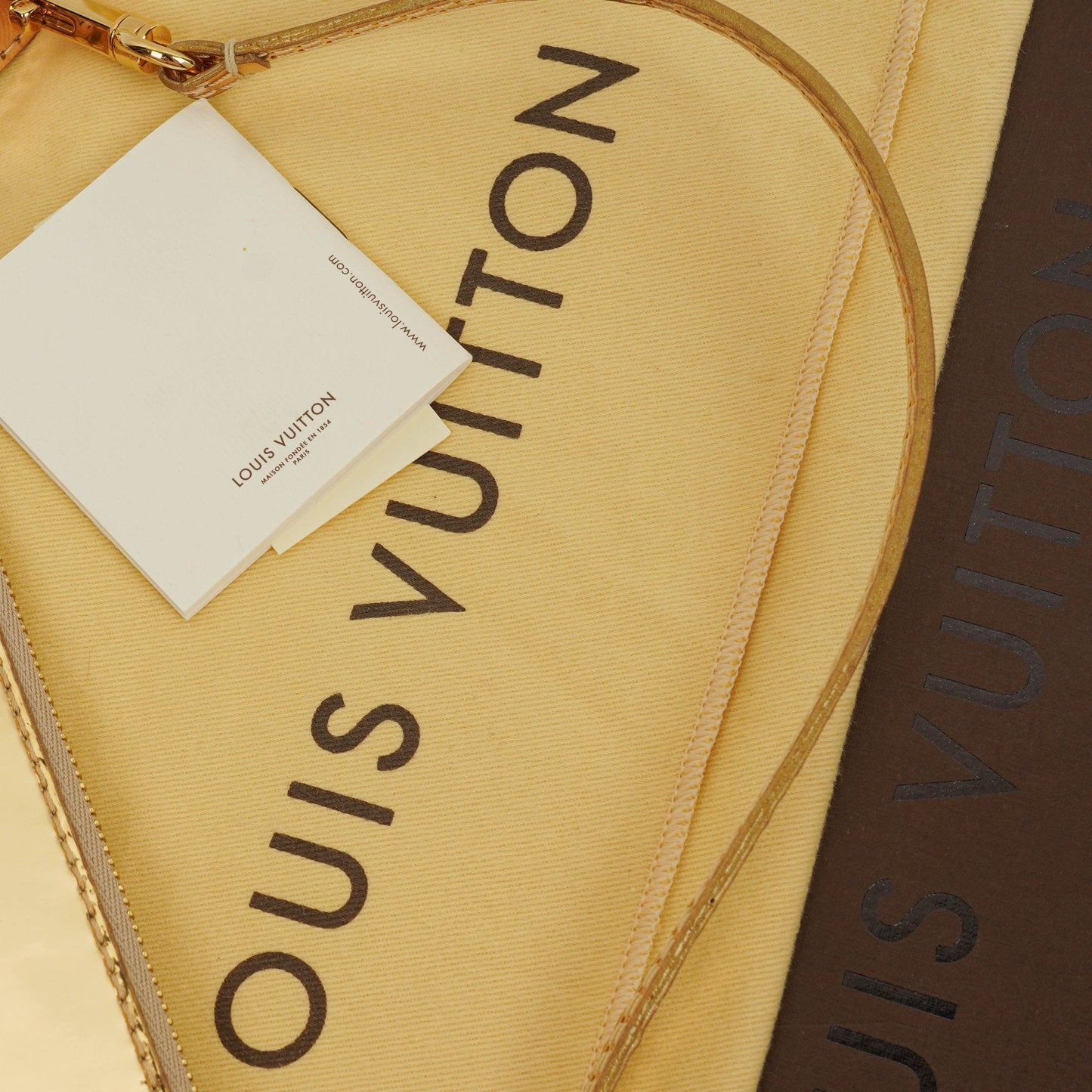 Louis Vuitton Limited Edition Gold Miroir Pochette Bag