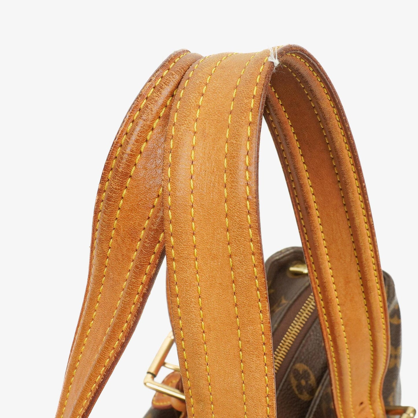 Louis Vuitton Monogram Canvas Multiple Cite Bag