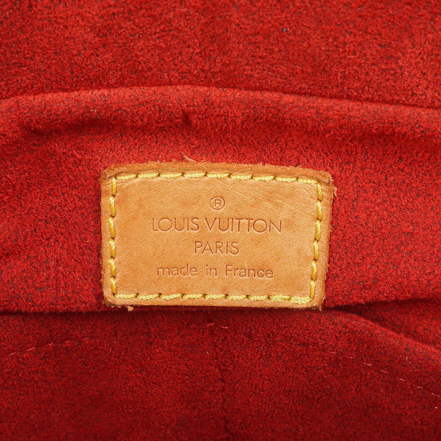 Louis Vuitton Monogram Canvas Multiple Cite Bag
