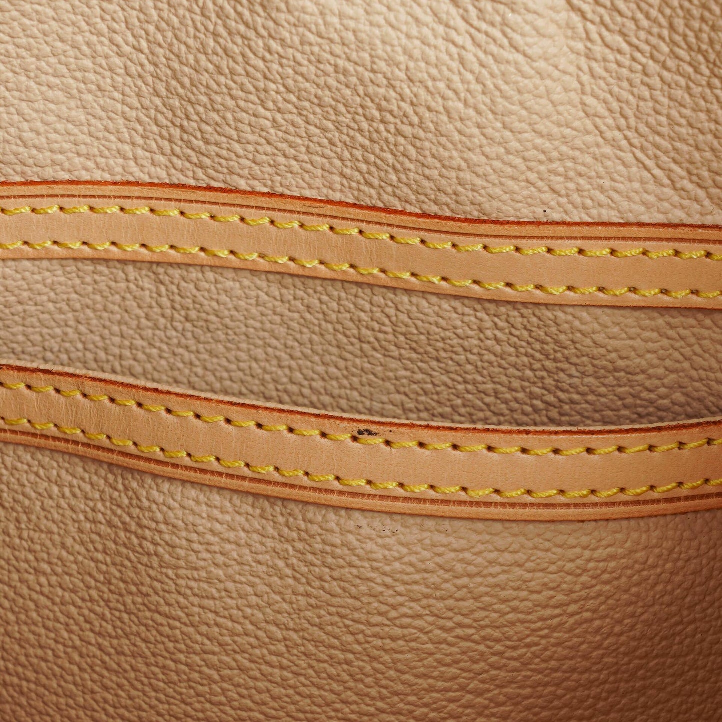 Louis Vuitton Monogram Canvas Petit Bucket Bag