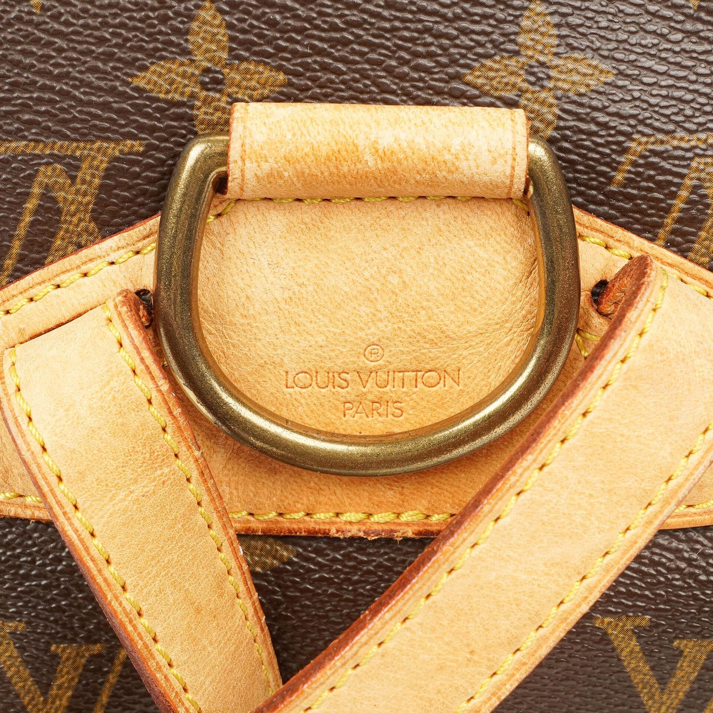 Louis Vuitton Montsouris MM Monogram Canvas Backpack