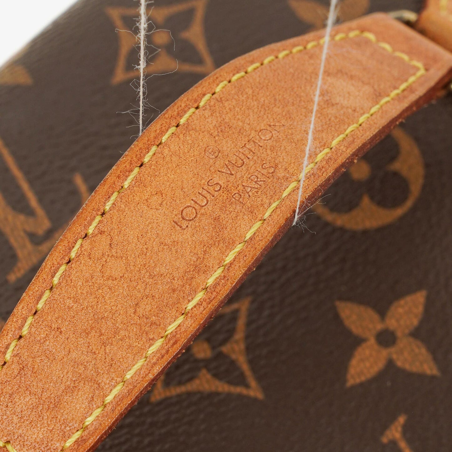 Louis Vuitton Nice BB Monogram Canvas Vanity Case