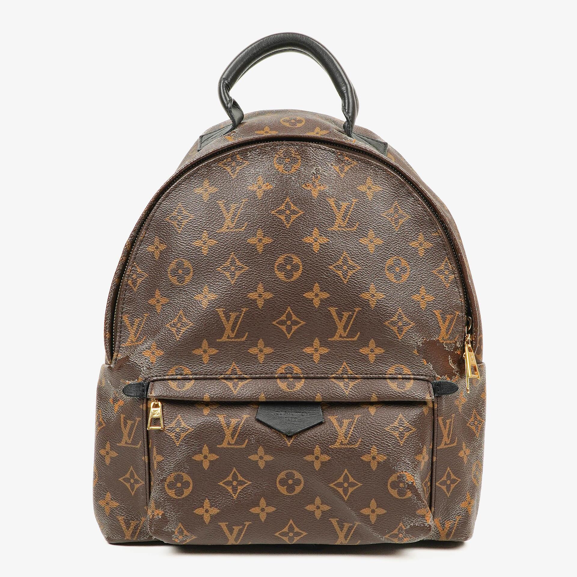 Louis Vuitton Palm Springs MM Monogram Backpack
