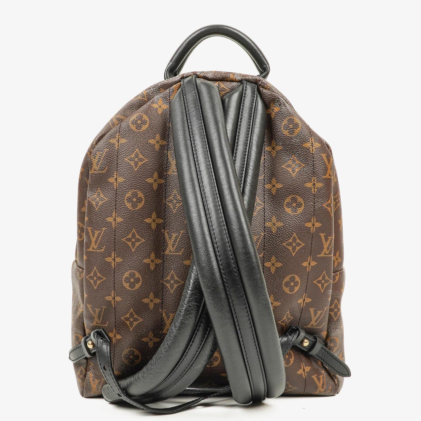 Louis Vuitton Palm Springs MM Monogram Backpack