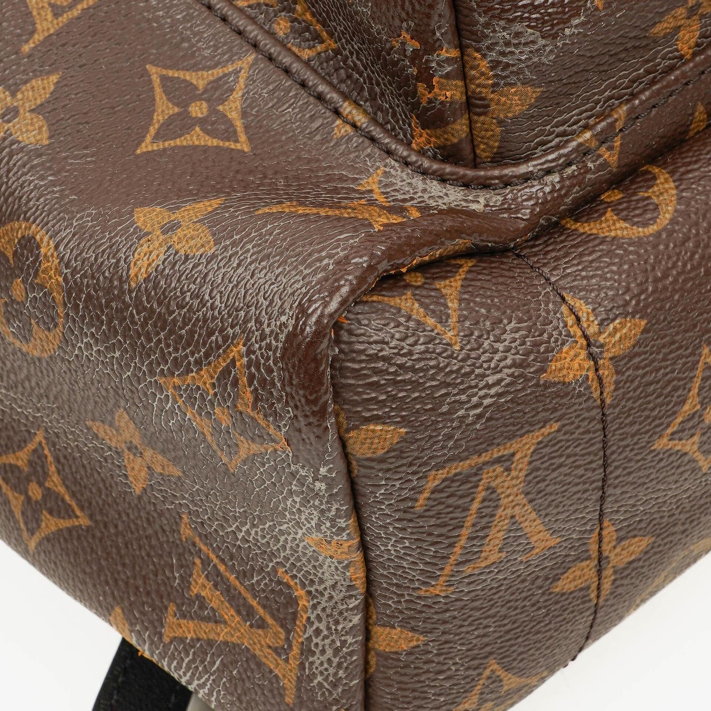 Louis Vuitton Palm Springs MM Monogram Backpack