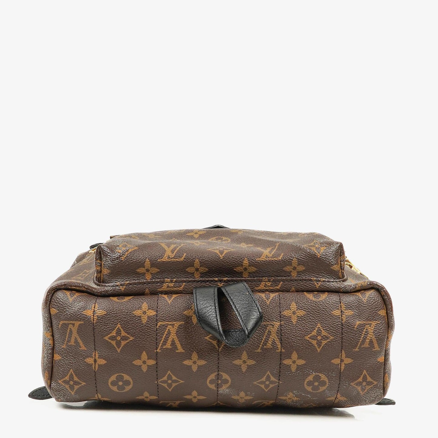 Louis Vuitton Palm Springs MM Monogram Backpack