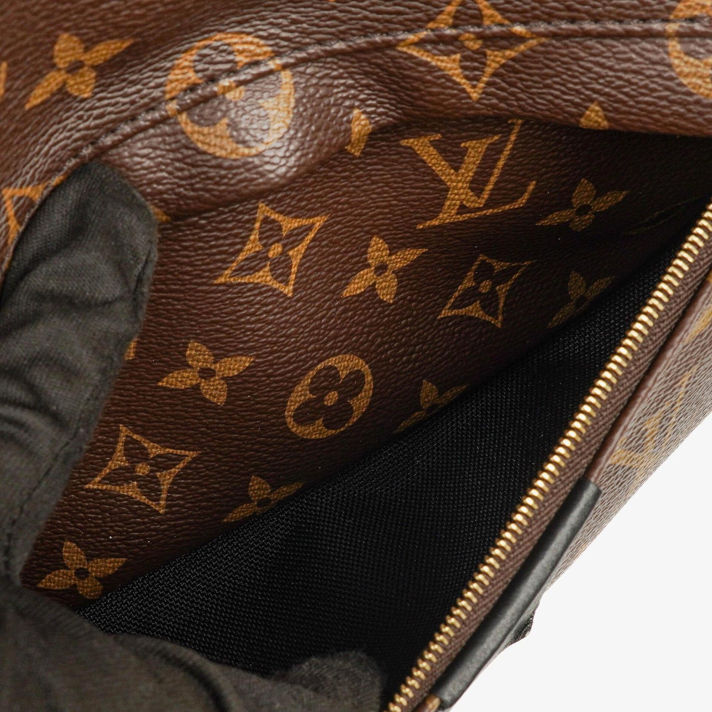 Louis Vuitton Palm Springs MM Monogram Backpack