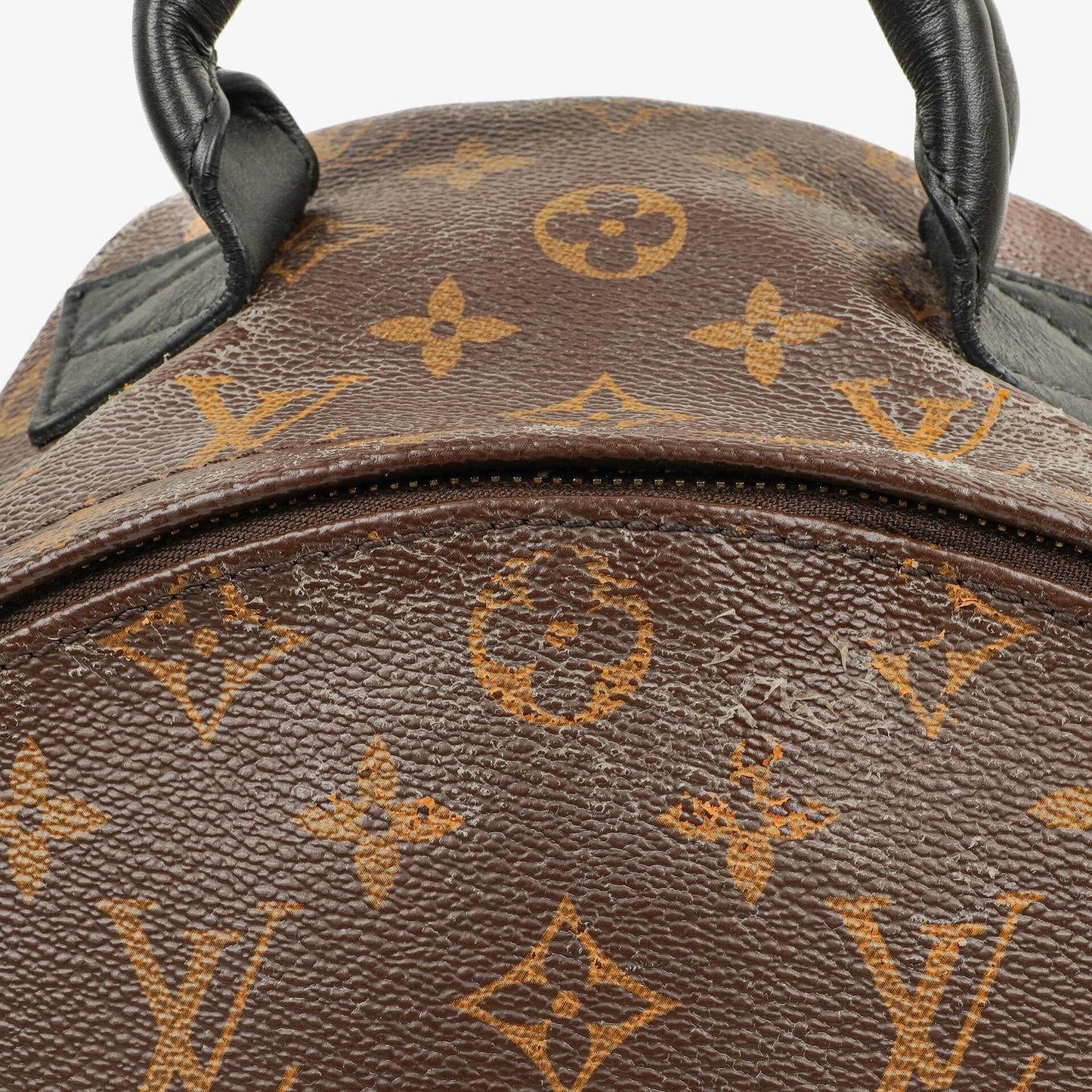 Louis Vuitton Palm Springs MM Monogram Backpack