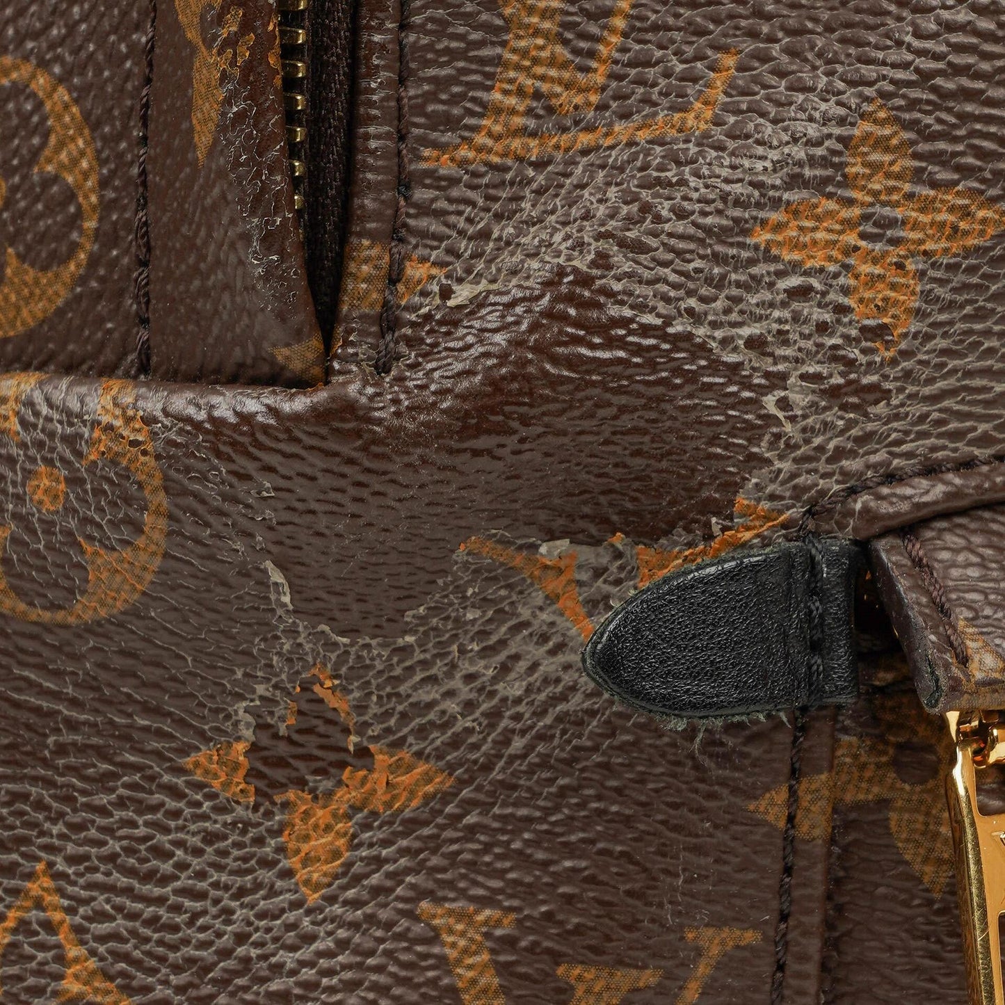 Louis Vuitton Palm Springs MM Monogram Backpack