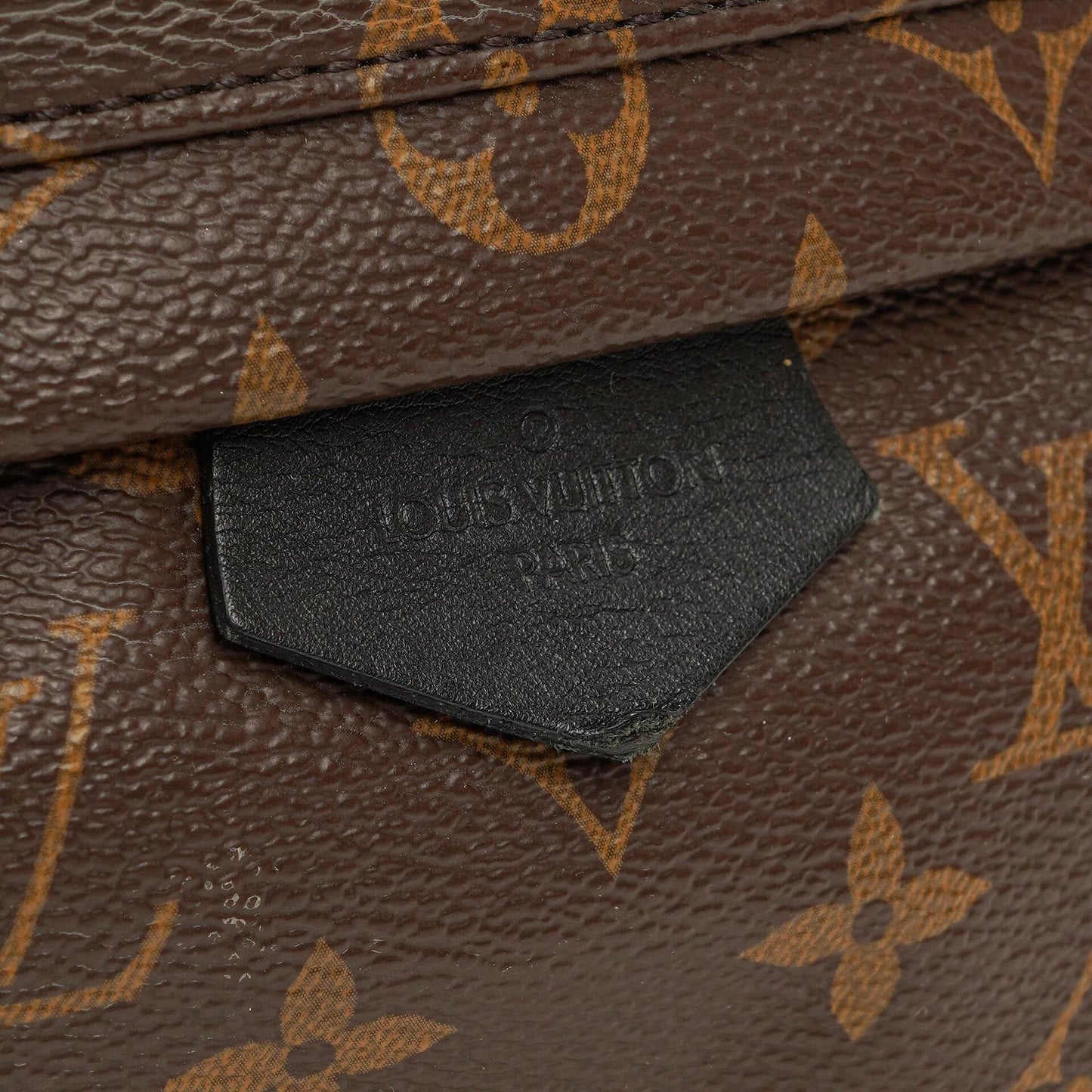 Louis Vuitton Palm Springs MM Monogram Backpack