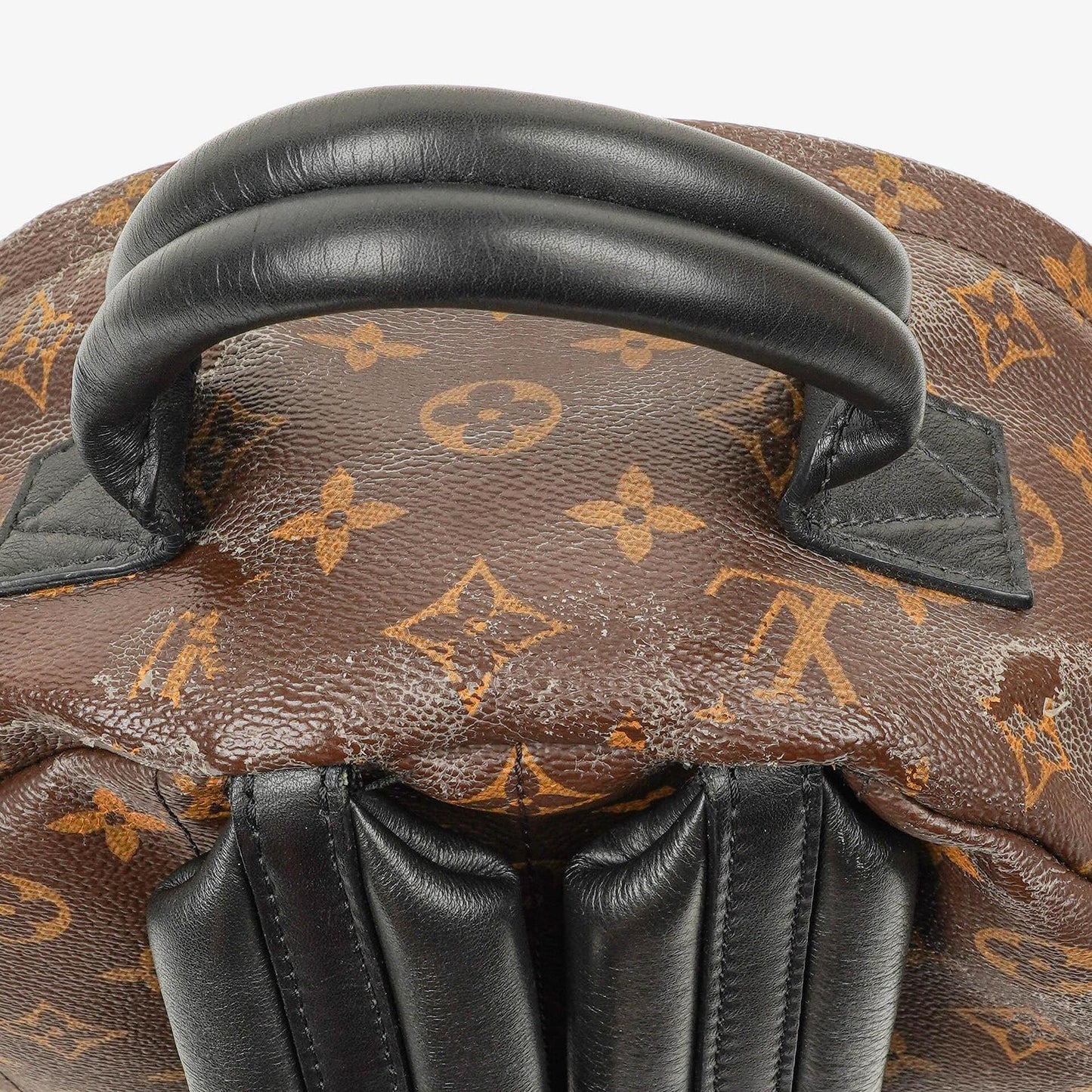 Louis Vuitton Palm Springs MM Monogram Backpack