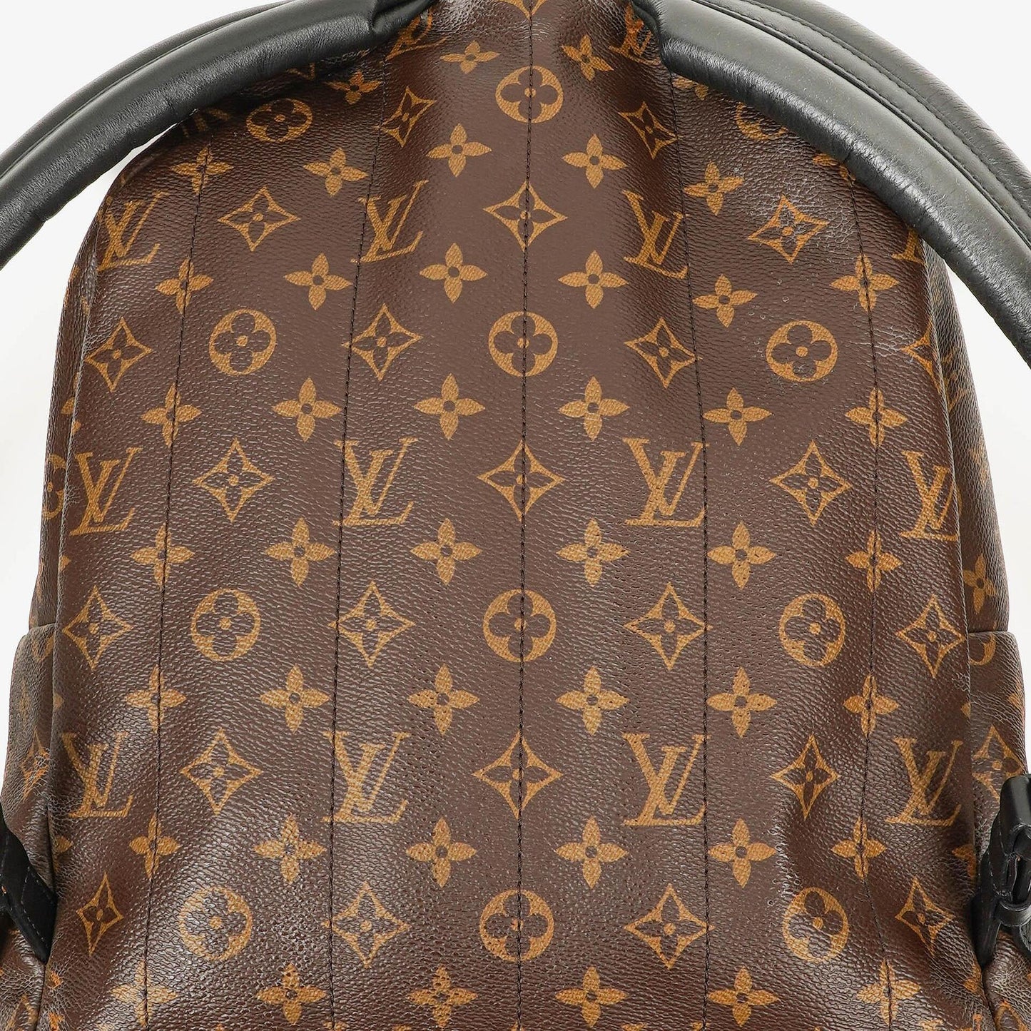 Louis Vuitton Palm Springs MM Monogram Backpack