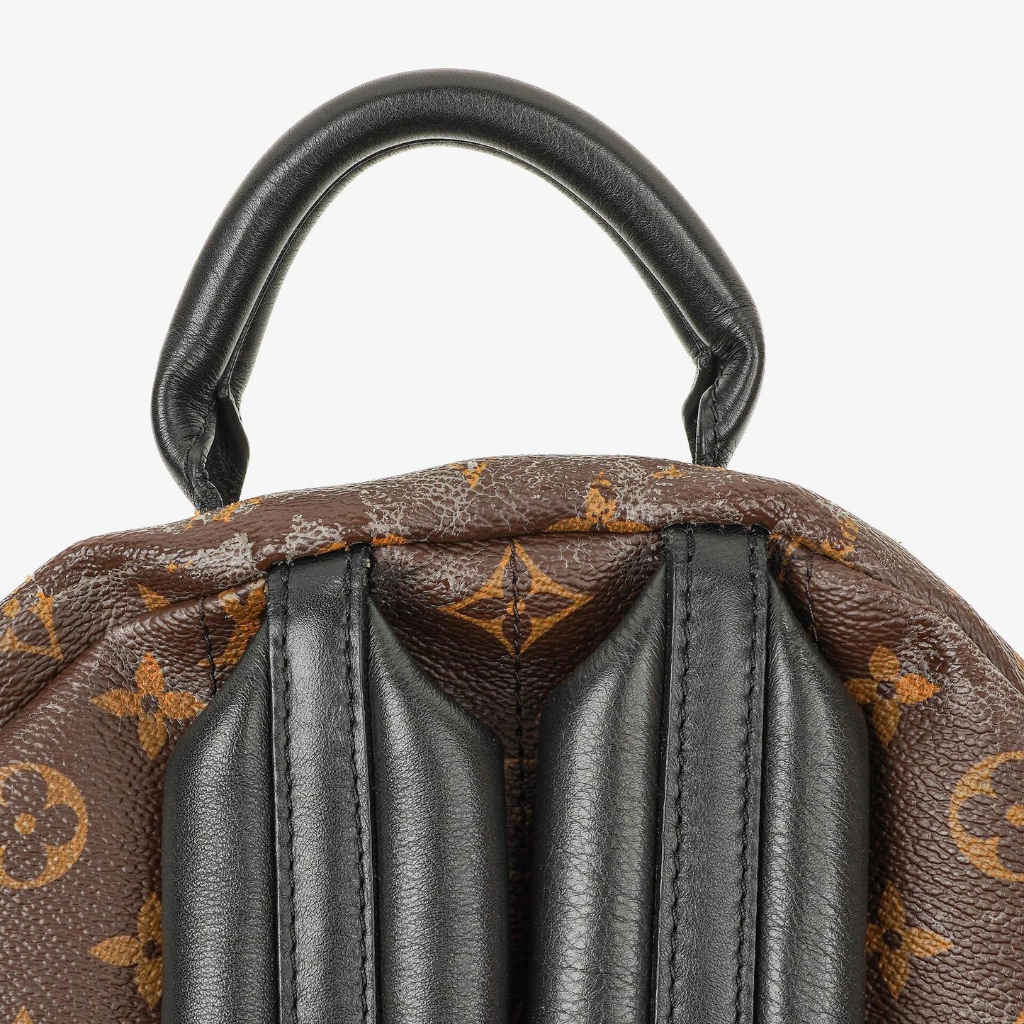 Louis Vuitton Palm Springs MM Monogram Backpack