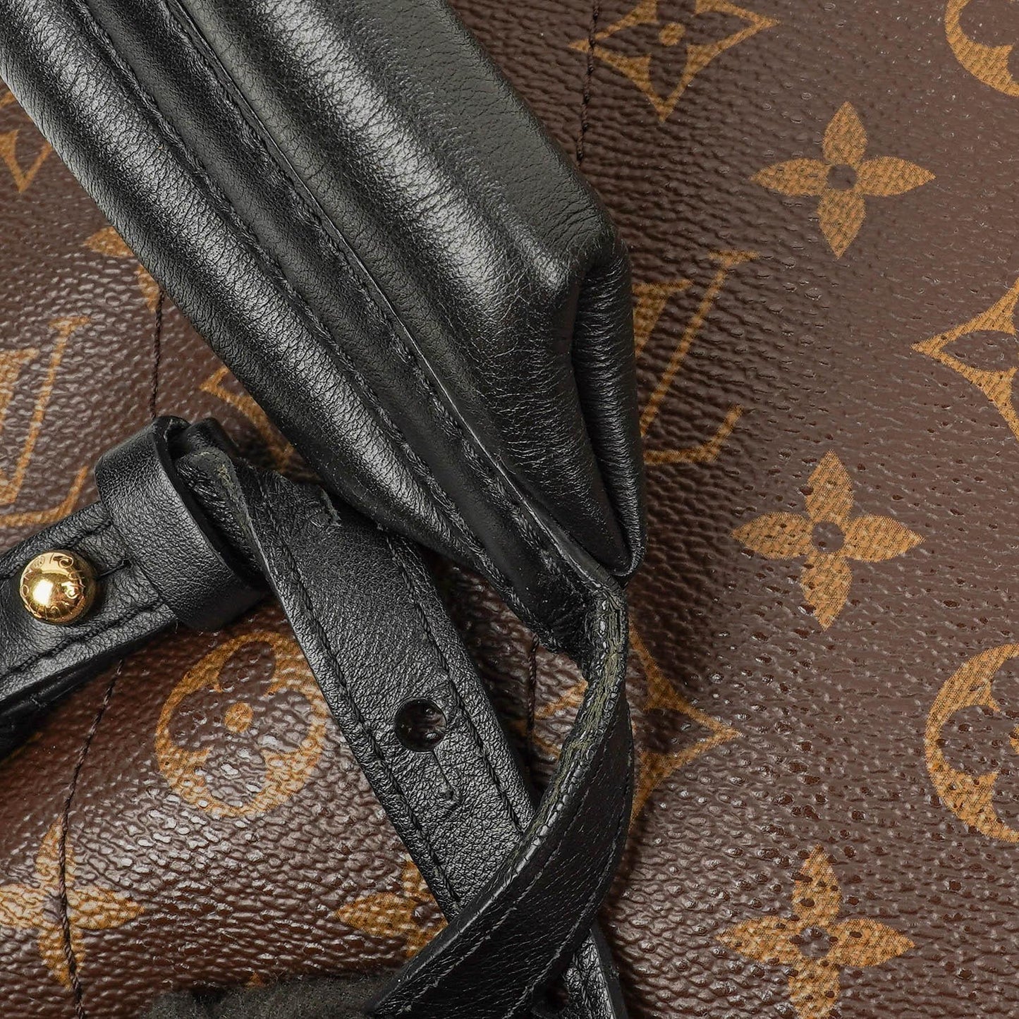 Louis Vuitton Palm Springs MM Monogram Backpack