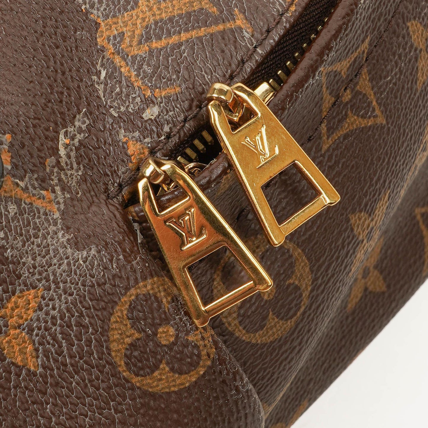 Louis Vuitton Palm Springs MM Monogram Backpack
