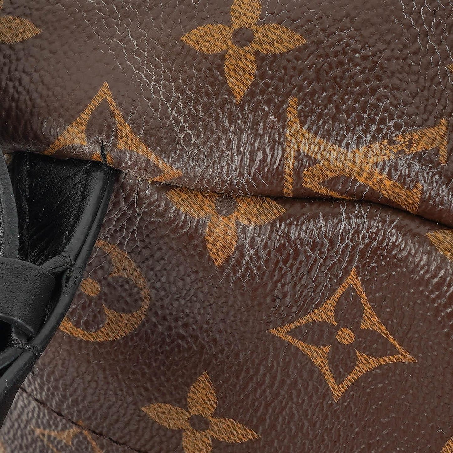 Louis Vuitton Palm Springs Reverse Monogram Backpack PM