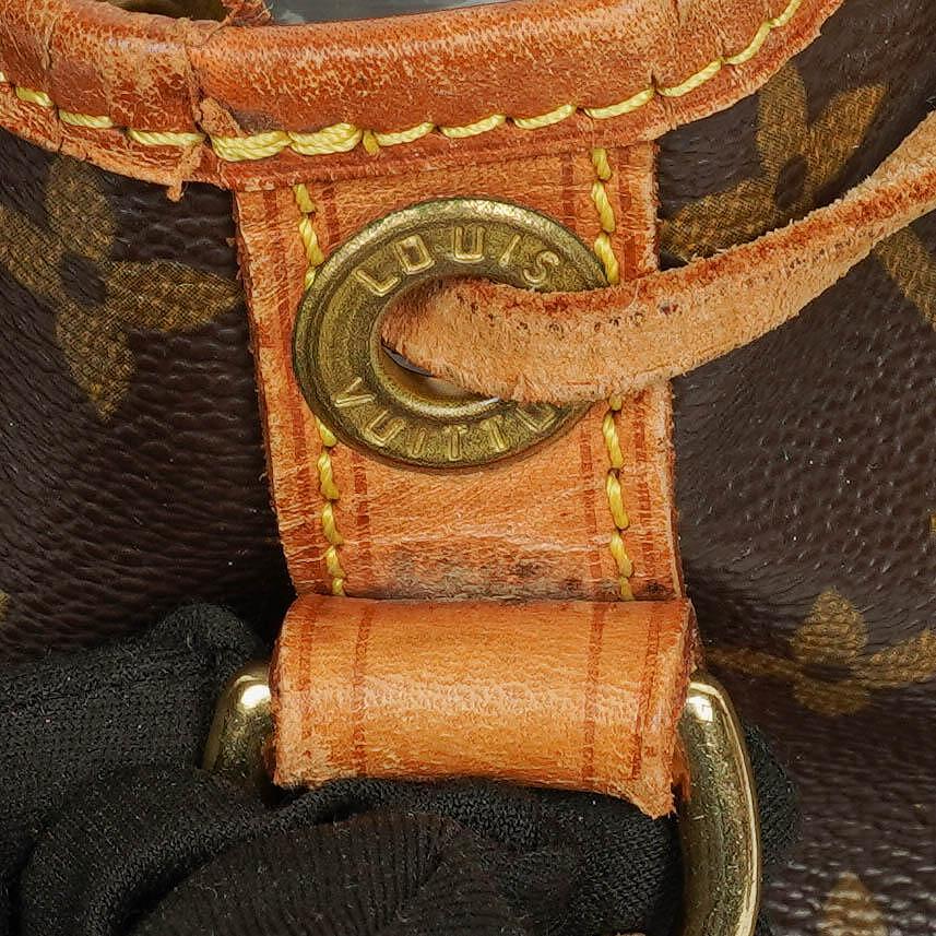Louis Vuitton Petit Noe Monogram Canvas Shoulder Bag