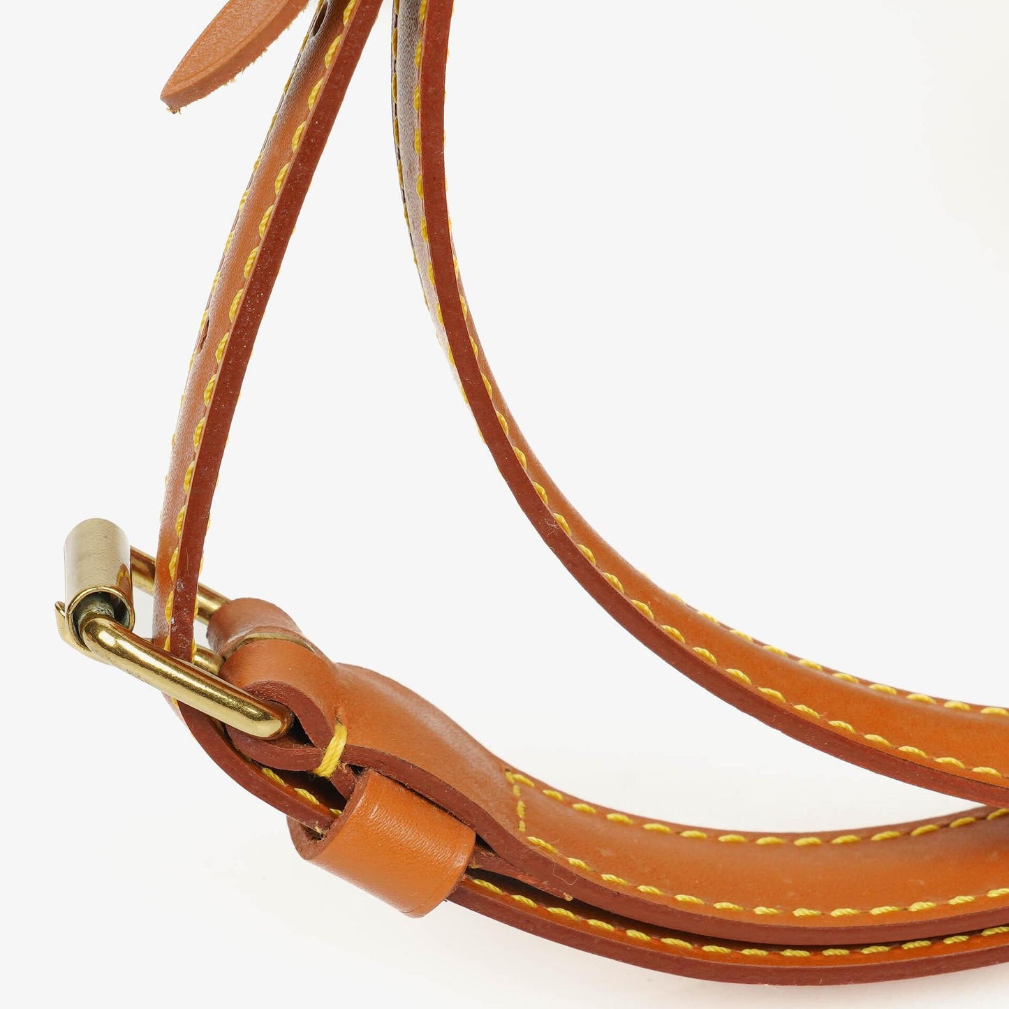 Louis Vuitton Randonnee PM EPI Cognac Canvas Backpack
