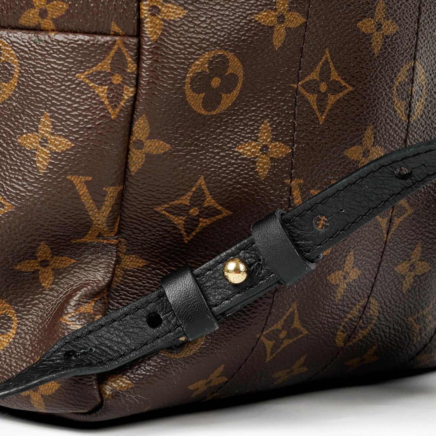 Louis Vuitton Reverse Monogram Canvas Palm Springs PM Backpack