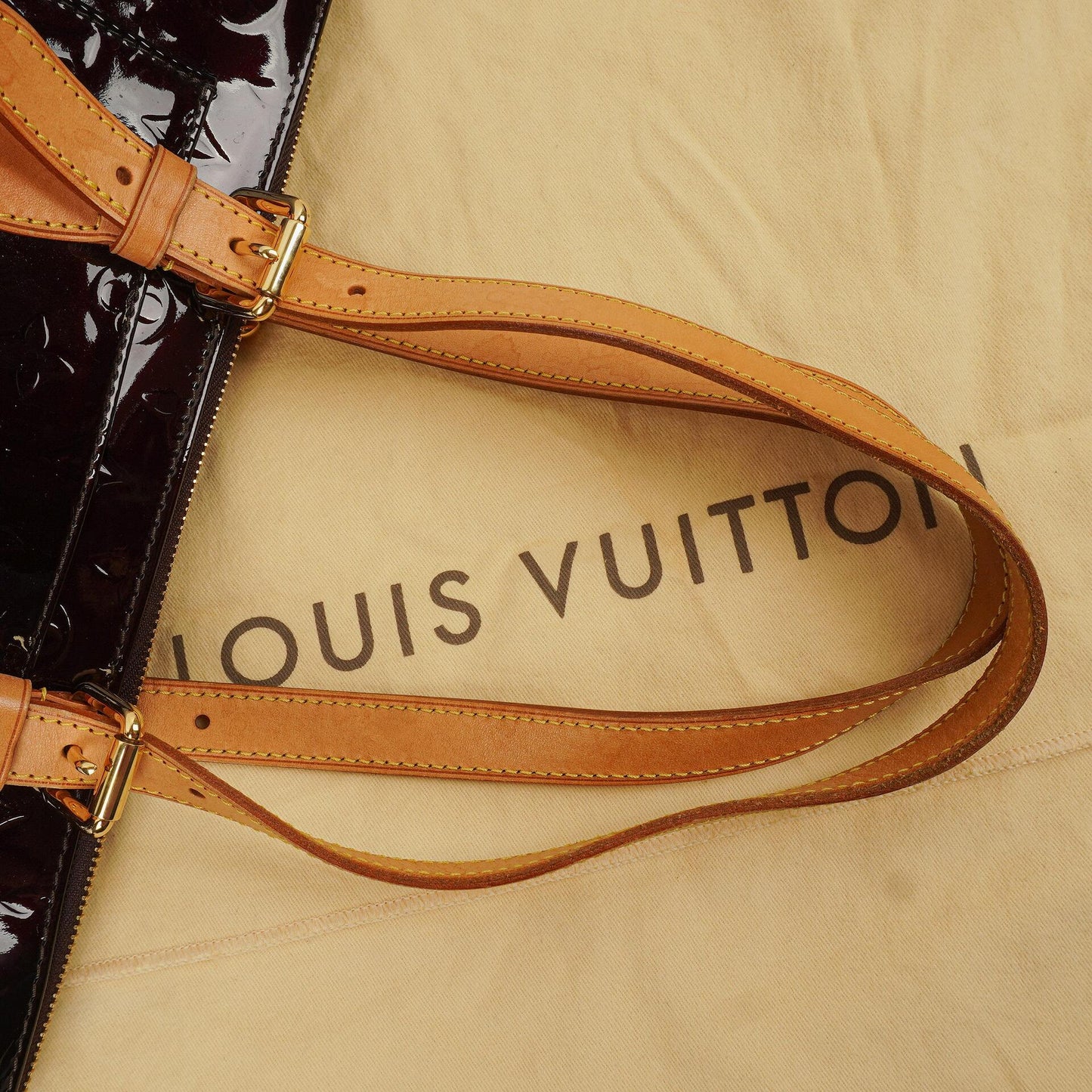 Louis Vuitton Rosewood Avenue Amarante Monogram Vernis Shoulder Bag