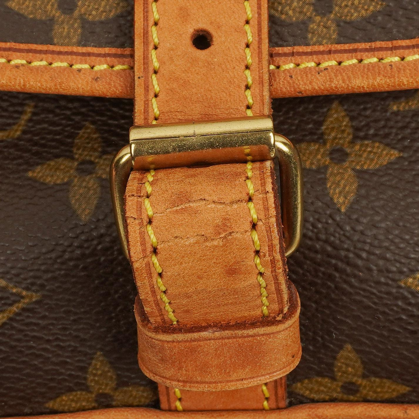 Louis Vuitton Saumur Monogram Canvas 30 Bag