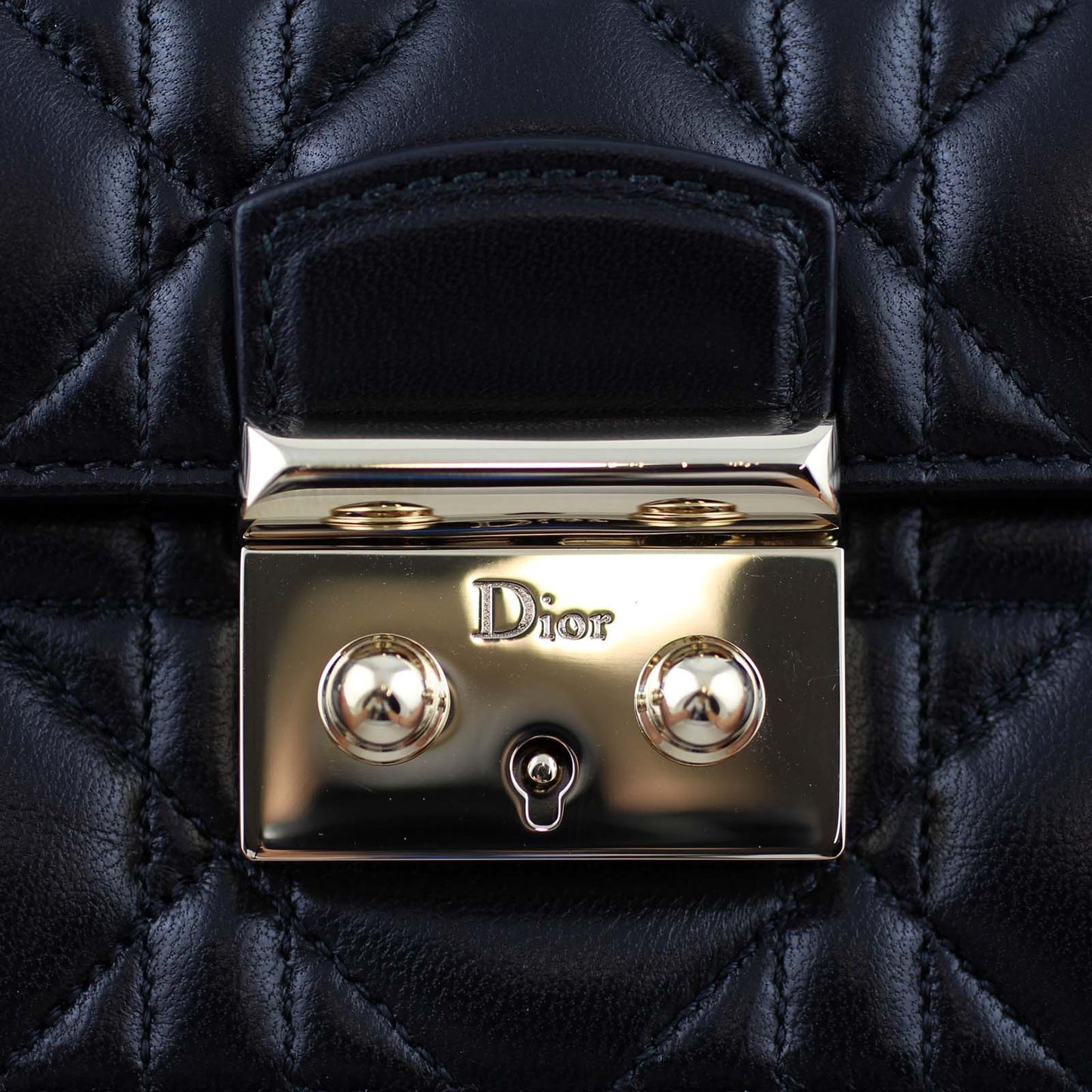 Miss Dior Promenade Pouch
