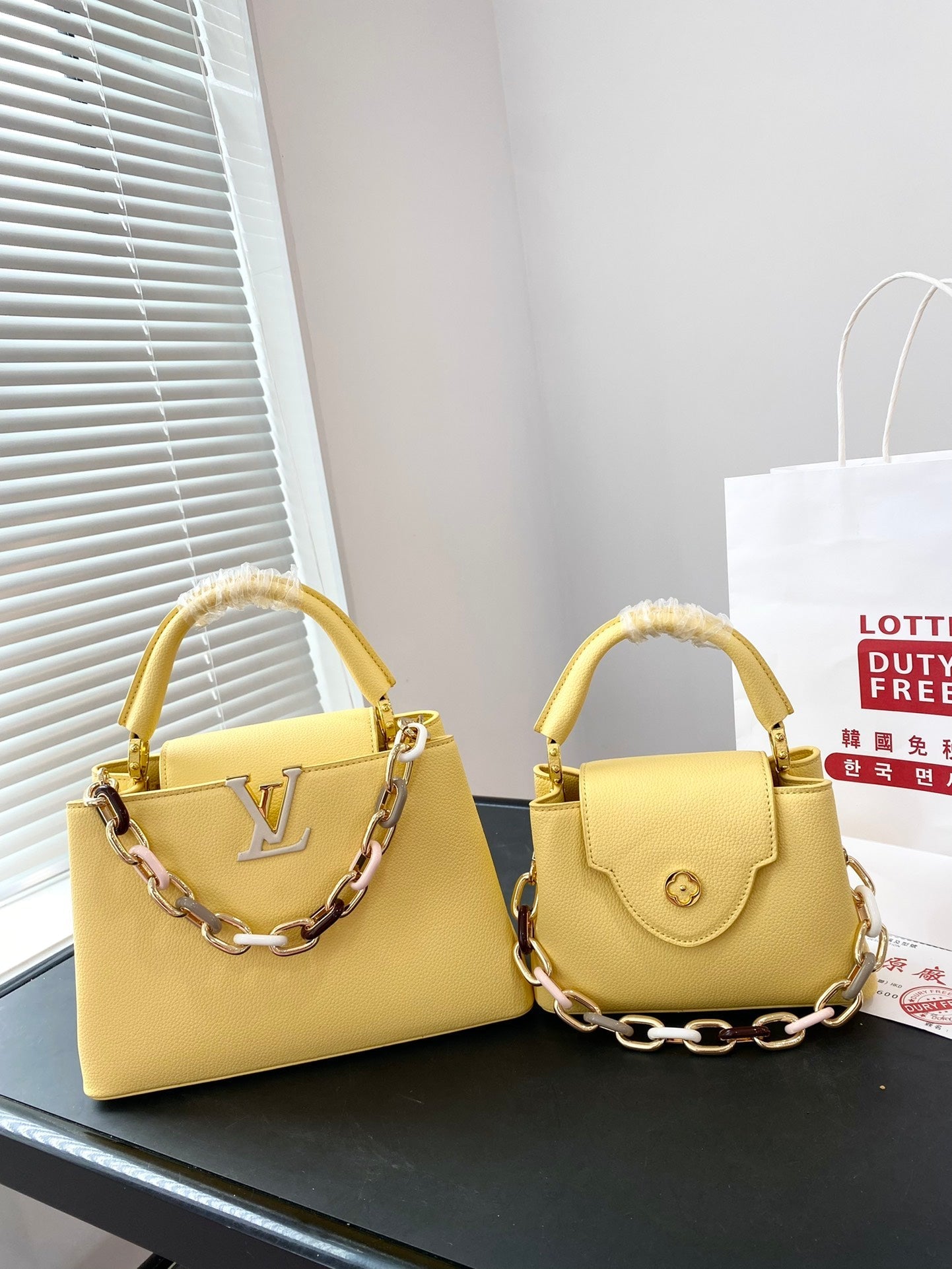 Louis Vuitton Capucines Handbag( 27cm and 20cm)