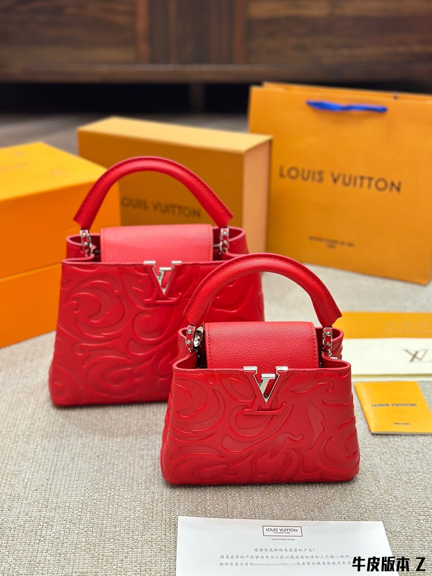 Louis Vuitton Capucines Handbag( 27cm and 20cm)